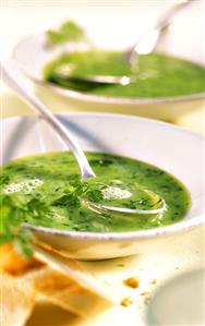 Chervil cream soup