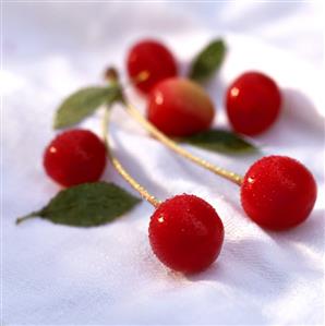 A few cherries with drops of water (1)