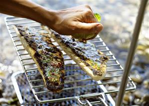 Sprinkling barbecued fish fillets with lemon