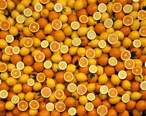 Various citrus fruits (filling the picture)