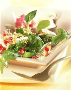 Mixed salad with pomegranate dressing