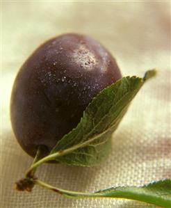 A plum with leaves