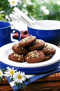 Chocolate biscuits and crockery for picnic/summer party