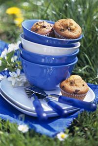 Chocolate chip muffins and picnic things in meadow