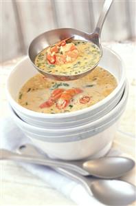 Spicy coconut soup with shrimps and coriander (Australia, 2)