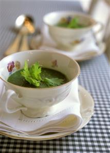 Potato and parsley soup in soup cups