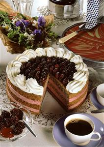 Blackberry mousse gateau with chocolate sponge bases