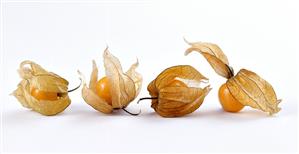 Four cape gooseberries (physalis) with opened cases