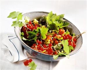 Freshly picked redcurrants in a bowl