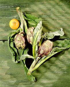 Three artichokes on green wooden background and a lemon