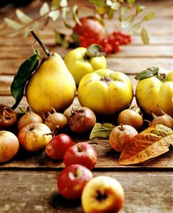 Autumn fruits: quinces, medlars; rowan berries; apples & pears