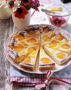 Apricot quark tart