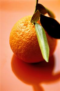 A Single Orange with Leaves