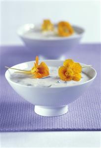 Cauliflower & gorgonzola soup decorated with nasturtium flowers