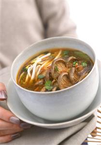 Thai-style soup with sprouts and mushrooms