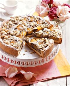 Apricot and poppy seed cake, a piece cut