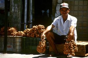 Traders with pitomba fruits (Recife, Brazil)