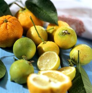 Still life with limes and bergamot oranges