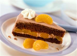 Piece of chocolate cream gateau with mandarin oranges