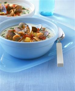 Clam chowder with clams and potatoes (USA)