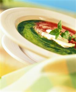 Zuppa tricolore (creamed soup of spinach, tomatoes & mascarpone