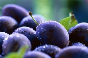 Plums with drops of water