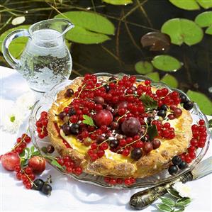 Summer fruit tart