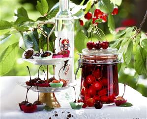 Cherry compote, chocolate cherries and cherry schnapps