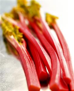 Fresh rhubarb