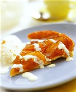 Piece of tarte tatin with ice cream, France