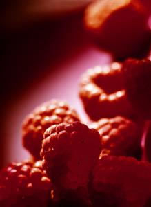 Raspberries against red background