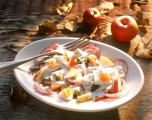 Herring salad with apples