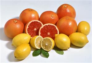 Still life with citrus fruits