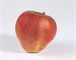 A Gloster apple