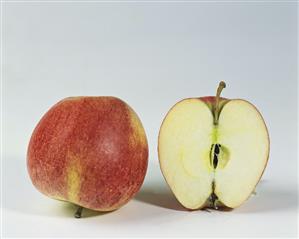 One half and one whole Idared apple