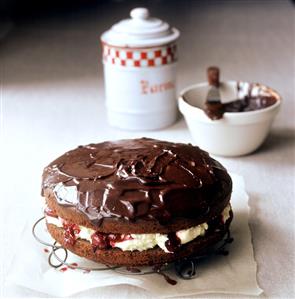 Chocolate sponge cake with cream filling and cherries