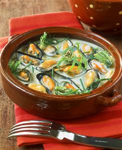 Mussel soup with pastis and tarragon