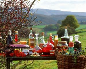 Home-made food, drinks and preserves from wild berries