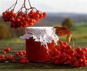 Rowan berry jam and rowan berries (mountain ash fruits)