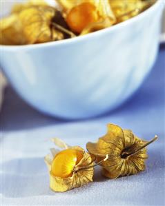 A Single Cape Gooseberry