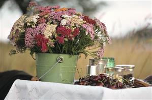 Table in open air with flowers and cherries