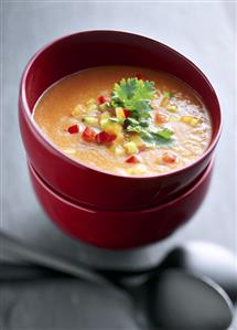 Spicy creamed vegetable soup (peppers, courgettes, tomatoes)