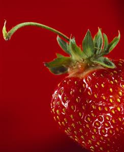 Strawberry against red background