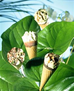 Commercially produced ice cream in a wafer