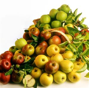 Apple still life (various types of apples)