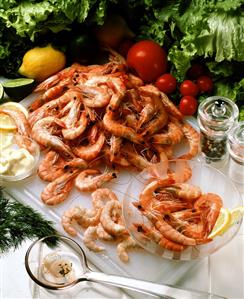 Shrimps