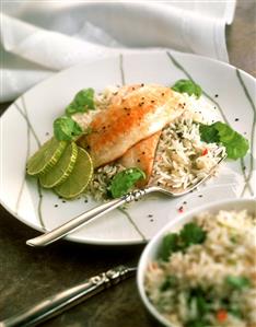 Chicken breast with lime on rice