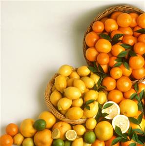 Citrus fruit still life (oranges, lemons, grapefruit)