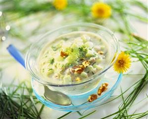 Tarator (refreshing yoghurt soup with cucumber, Bulgaria)