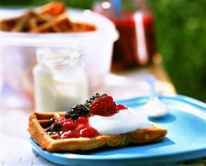 Yoghurt waffle with berries and quark on plastic plate